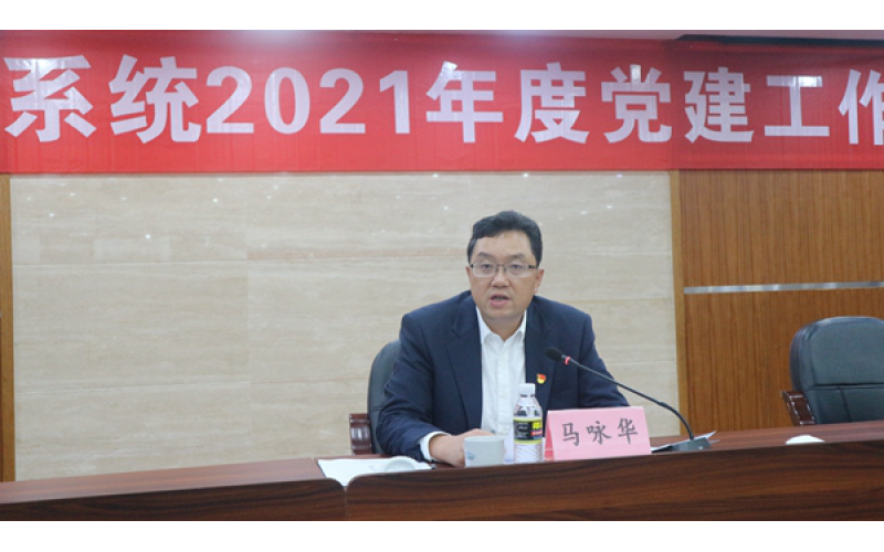 海南省国资委召开省国资系统2021年度党建工作会议