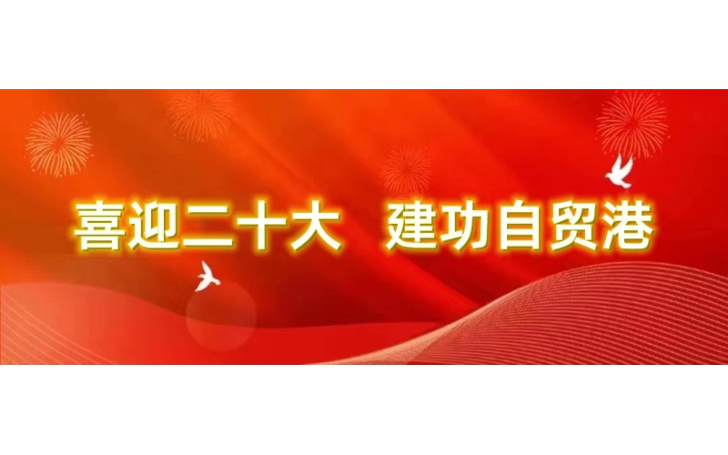 【贯彻党的二十大精神进行时⑩】勇担新使命 启航新征程——808钱包系统学习贯彻党的二十大精神