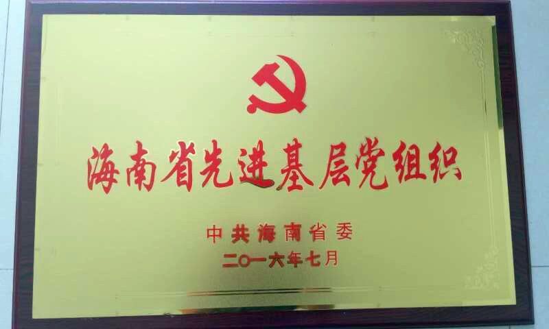 808钱包资产