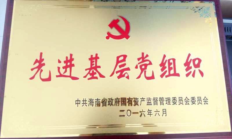 808钱包资产