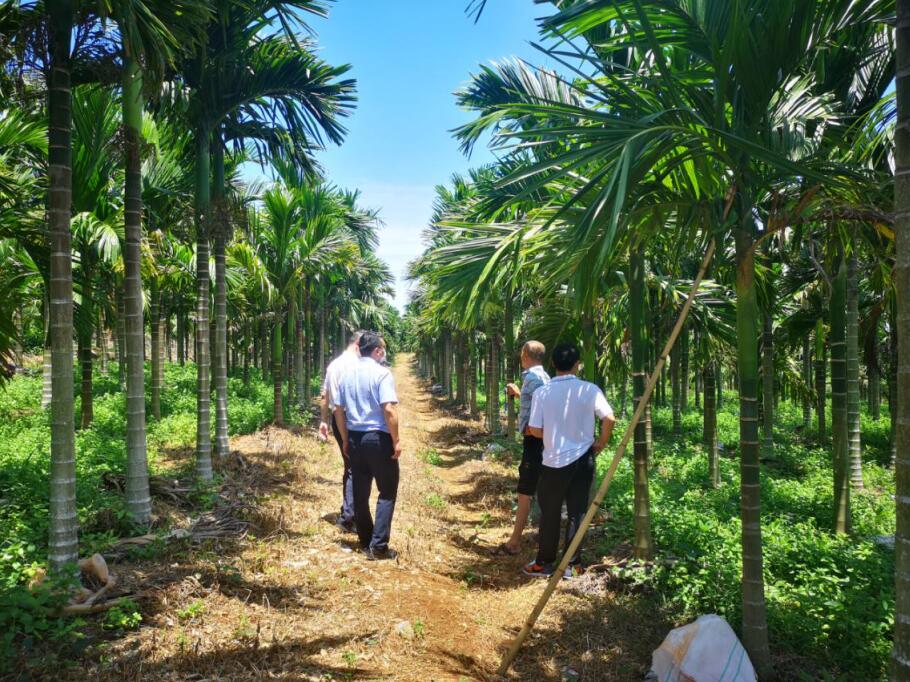 808钱包资产