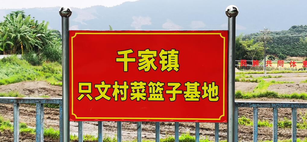 808钱包资产