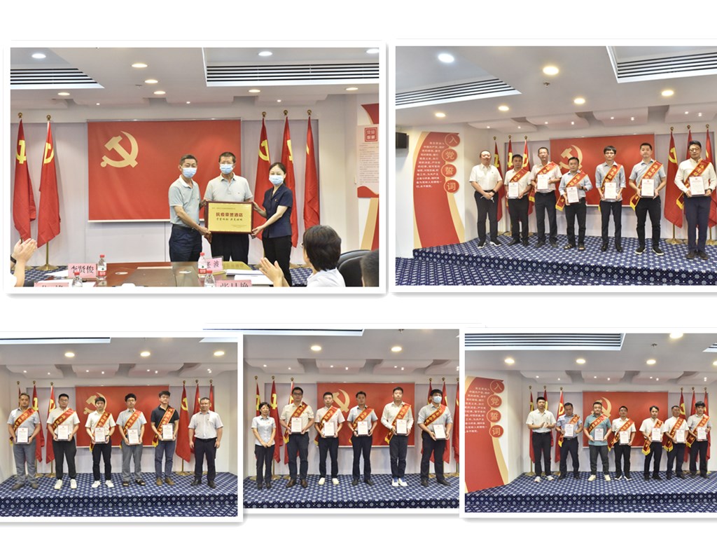 808钱包资产 808钱包资产