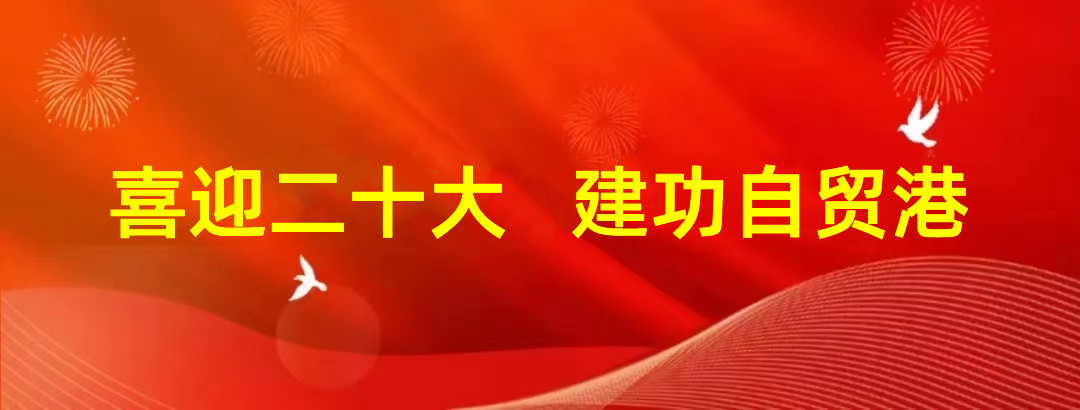 808钱包资产