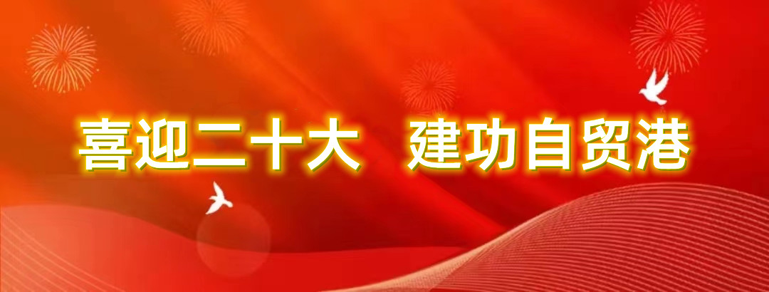 808钱包资产