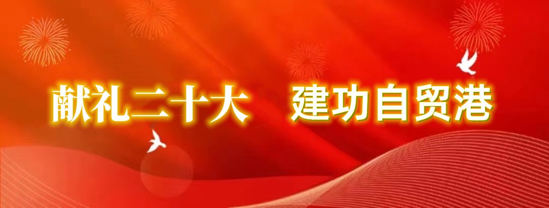 808钱包资产